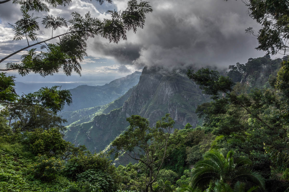 usamabara mountain,best biodiversity